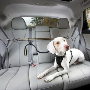 Kurgo Auto Zip Line Dog Restraint System